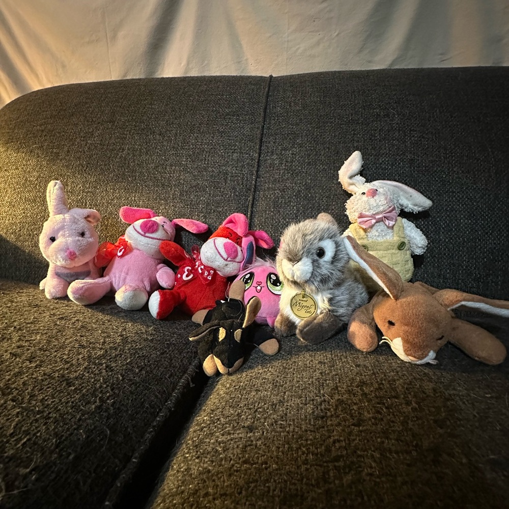 Rabbit and Bunny Stuffed Animals